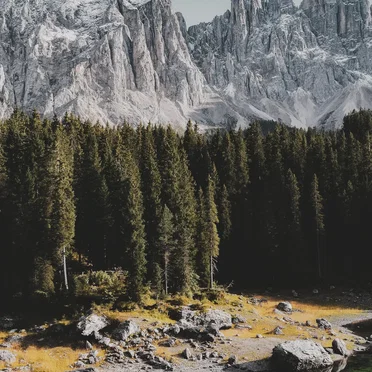 New Beginnings and Reflections, Volume 2