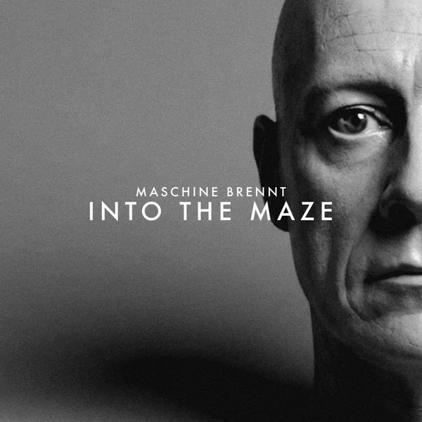 Into the Maze
