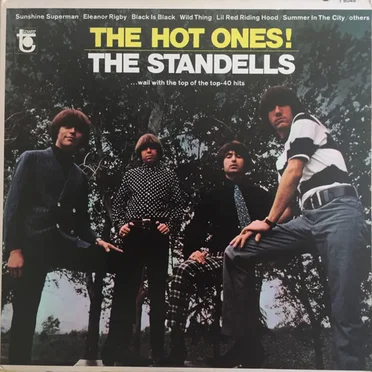 The Hot Ones! by The Standells - album cover