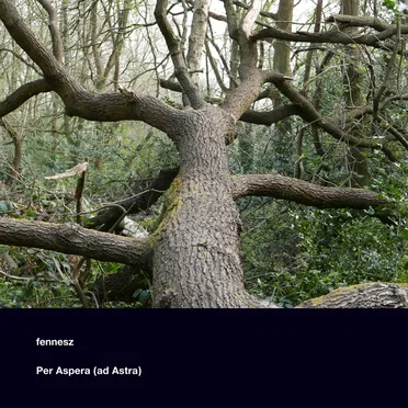 Per Aspera (ad Astra)