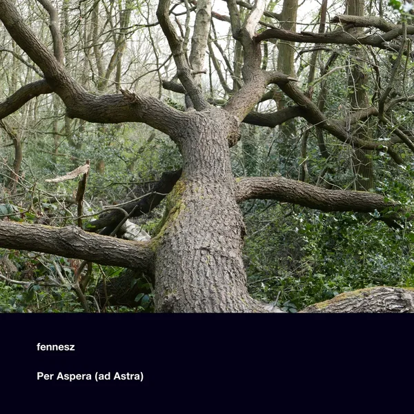 Per Aspera (ad Astra)