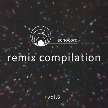 Echocord Remix Compilation, Vol. 2 by Various Artists - album cover