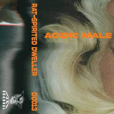 Rat-Spirited Dweller by Acidic Male - album cover