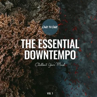 The Essential Downtempo: Chillout Your Mind by Various Artists - album cover