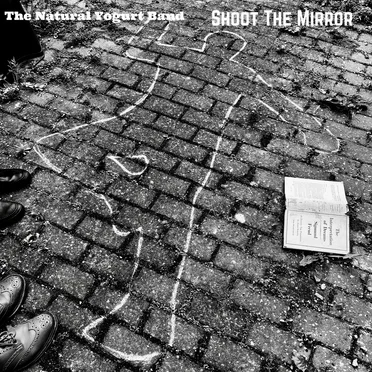 Shoot The Mirror by The Natural Yogurt Band - album cover