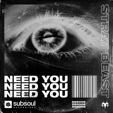 Need You by Stray Beast - album cover