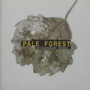 Transformation Hymns by Pale Forest - album cover