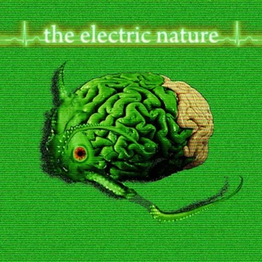 The Electric Nature