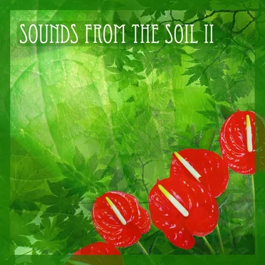 Sounds From the Soil II (432 Hz)