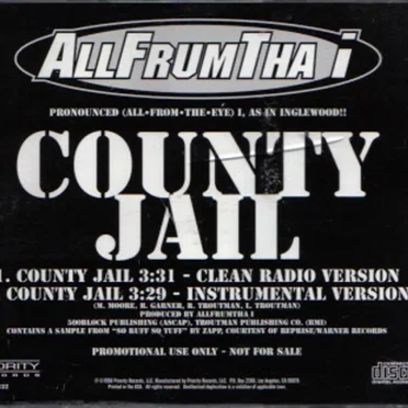 County Jail by AllFrumTha I - album cover