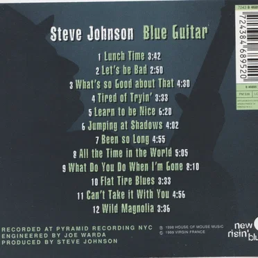 Blue Guitar by Steve Johnson - album cover