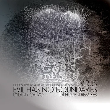 Virus / Evil Has No Boundaries (DJ Hidden Remixes)