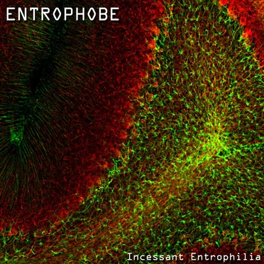 Incessant Entrophilia by Entrophobe - album cover