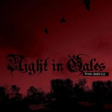 Promo MMVIII by Night in Gales - album cover