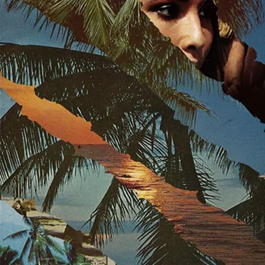 Vendetta in Paradise