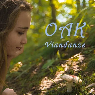 Viandanze by Oscillazioni Alchemico Kreative - album cover