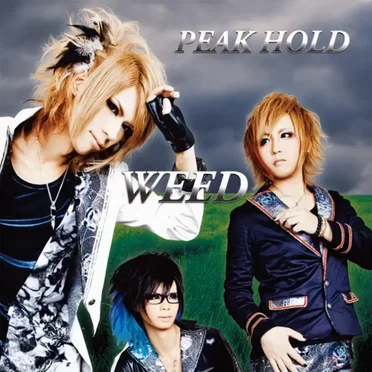 WEED by PEAK HOLD - album cover