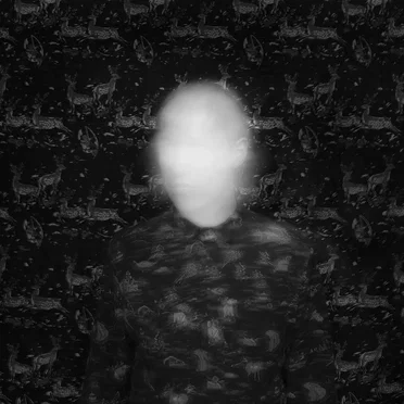 Louis Warship by Mezzanine Swimmers - album cover
