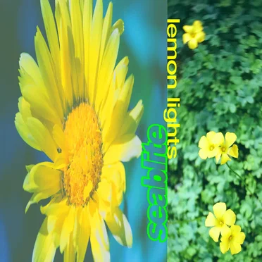 Lemon Lights by Seablite - album cover