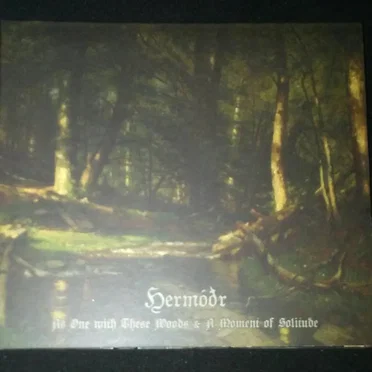 As One With These Woods & A Moment of Solitude