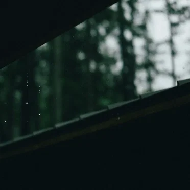 Summer in Hiding