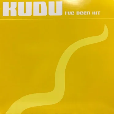 I've Been Hit by Kudu - album cover