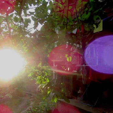 Gardenside Ambient Sessions II