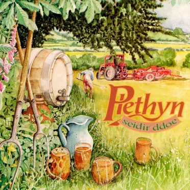 Seidir Ddoe by Plethyn - album cover