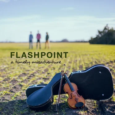 A Timely Misadventure by Flashpoint - album cover