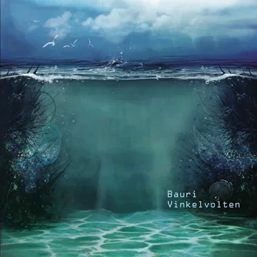 Vinkelvolten by Bauri - album cover