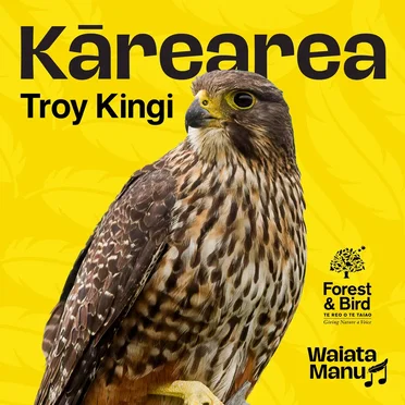 Kārearea