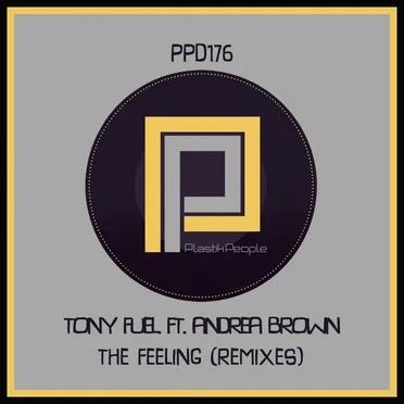 The Feeling (Remixes)