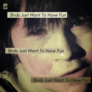 Birds Just Want To Have Fun