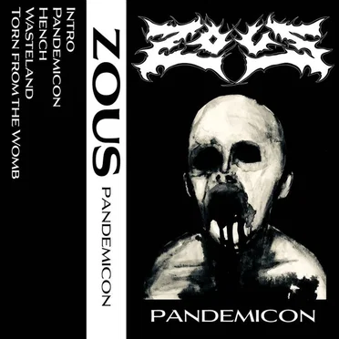 Pandemicon by Zous - album cover