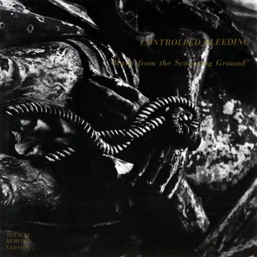Music From the Scourging Ground