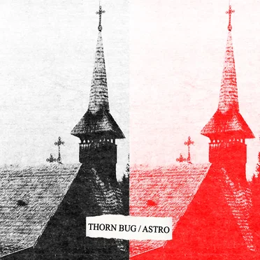 Thorn Bug / ASTRO