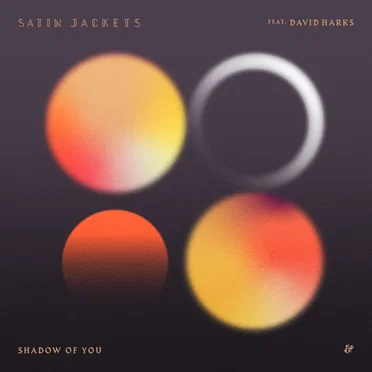 Shadow of You