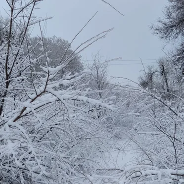 Lonely Snowy Days