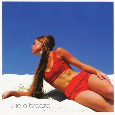 Like a Breeze: 22 German Groove Classics From the Brillant-Musik Archives by Various Artists - album cover