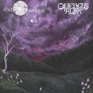 Forêt Endormie / Quercus Alba Split