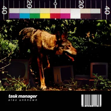 Task Manager