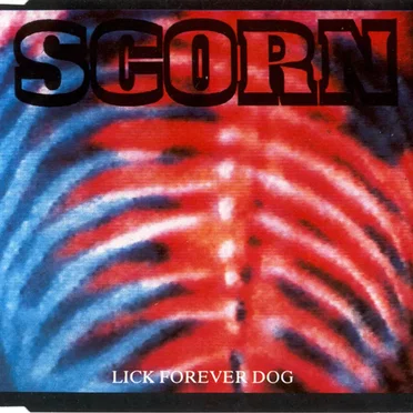 Lick Forever Dog