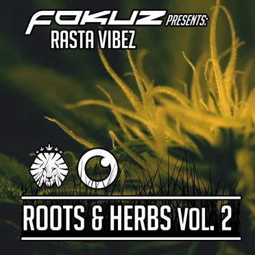 Fokuz Presents Rasta Vibez - Roots & Herbs Vol. 2 by Various Artists - album cover