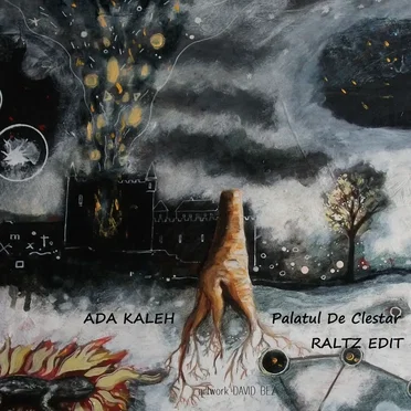 Palatul de Clestar (Raltz Edit) by Ada Kaleh - album cover