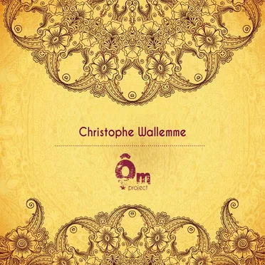 Ôm Project