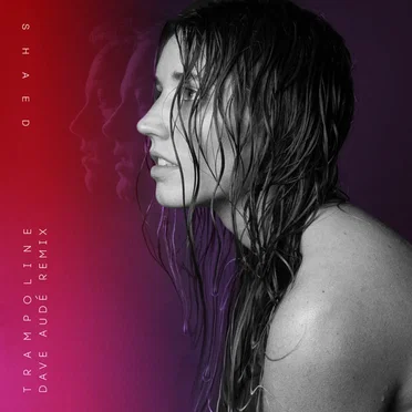 Trampoline (Dave Audé remix)