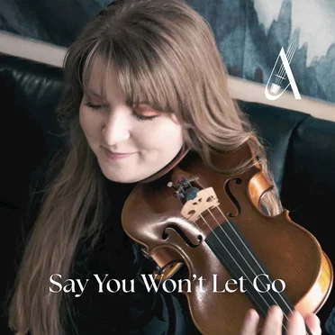 Say You Won't Let Go (Violin Cover)