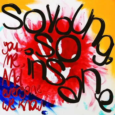 So Young, So Insane by You, Me, and Everyone We Know - album cover