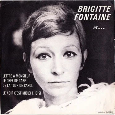 Brigitte Fontaine et...