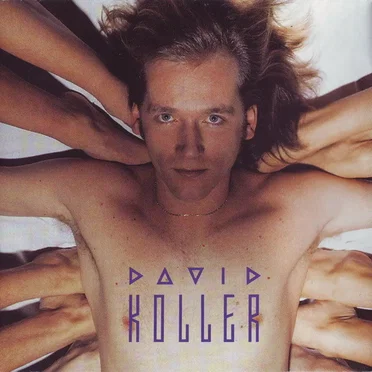 David Koller